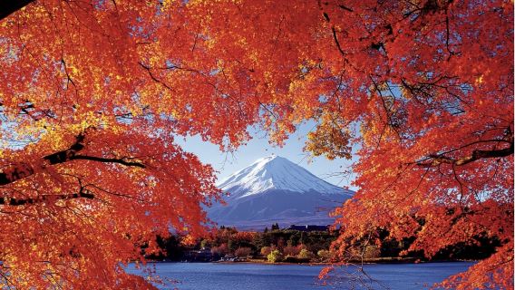 Depart from Tokyo | Mount Fuji Twin Lakes Swan Hot Springs Four Seasons Slow Travel