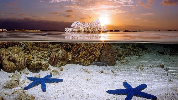 Bunaken Island three-point snorkeling includes lunch and shuttle