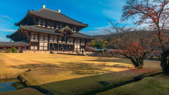 日本+大阪+和歌山+高野山一日遊 可定制|中文包車|酒店接送服務