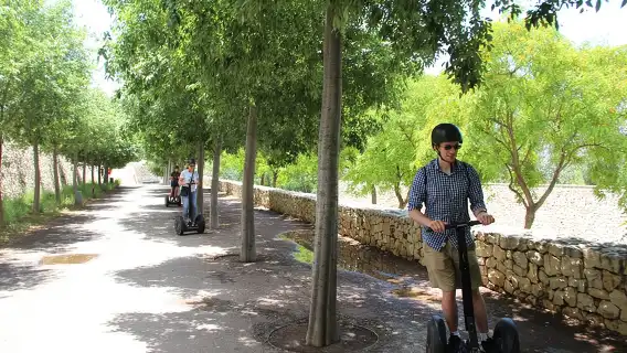 Fun Private Segway Tour in Valencia