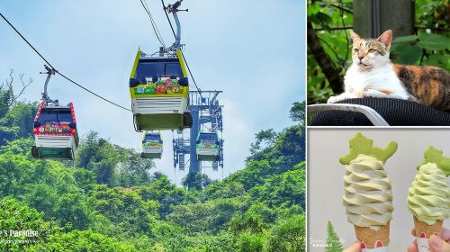 Enlightening and fun trio - Maokong Gondola + Taipei Zoo + National Museum of Marine Science and Technology 1-day tour Day Tours