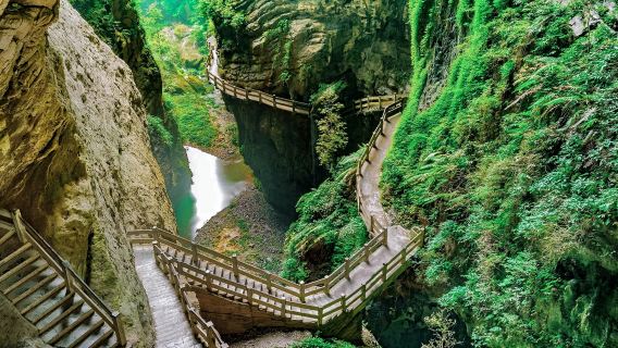 สามสะพานสวรรค์ + หลุมแยกหุบเขามังกร: ทัวร์ส่วนตัวกับไกด์นำเที่ยวภาษาอังกฤษ|ทัวร์ 1 วัน ภูมิประเทศแบบคาสต์