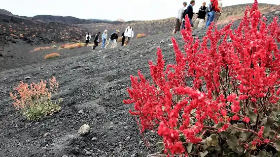ทริปเช้าเอตนา