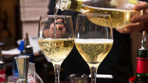 Gita di un giorno da Milano: cantine della Franciacorta e lago d'Iseo (escluso giro in barca)