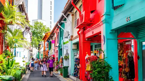 Singapore Private Car Tour – Explore the City in Comfort with a Top Driver