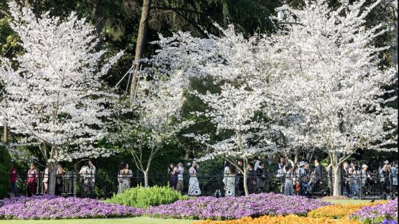 Shanghai maßgeschneiderter Privattransfer/Reiseleiter – Gongqing Forest Park, Lu Xun Park, Duolun Road, Tian'ai Road