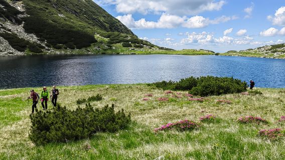 Retezat National Park: Full day hike from Cluj Napoca