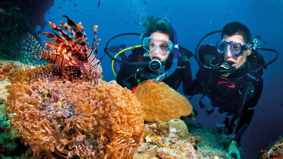 Nha Trang: Tour lặn biển kèm bữa trưa và đồ uống