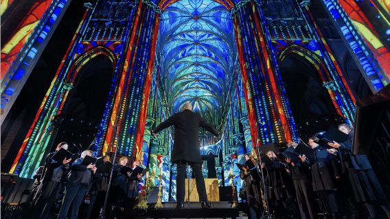 San Sebastián Cathedral: Immersive Light and Sound Show, LUMINISCENCE
