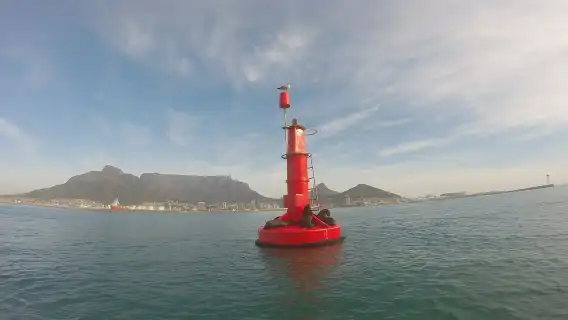 Cape Town: Marine Big 5 Ocean Safari from V&A Waterfront