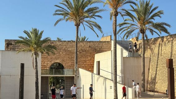 Tour della città vecchia di Palma