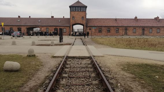 Warsaw: Tour to Krakow and Auschwitz by Train with Pickup