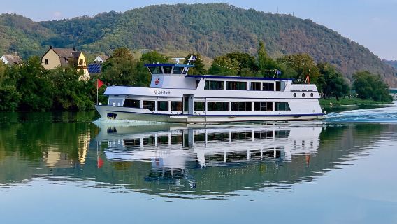 Alken: Oberfell and Moselkern Sightseeing Cruise