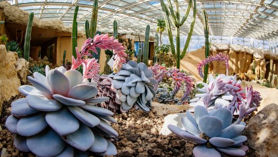 Erfurt: Egapark garden Entrance Ticket