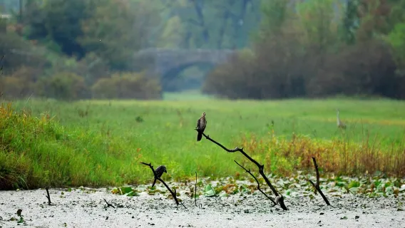 فيربازار–بحيرة سكادار: رحلة بحرية لمدة ساعتين على متن قارب خشبي تقليدي
