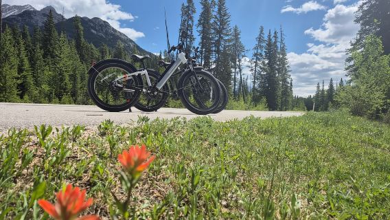 Excursion en vélo électrique Fat Bike à Banff – Tous niveaux