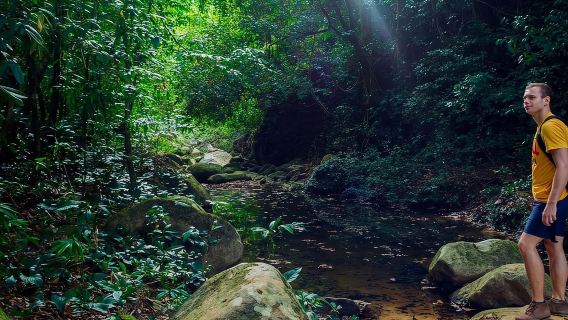 Da Madre de Dios||Passeggiata notturna nella foresta pluviale amazzonica
