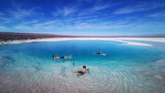 From San Pedro de Atacama: Hidden Lagoons of Baltinache