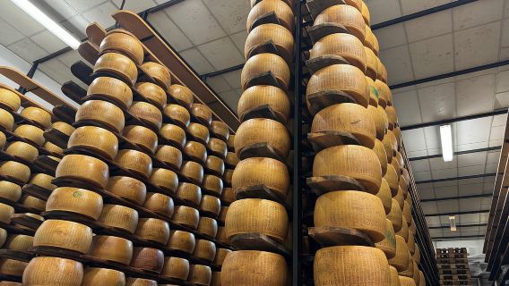 Da Parma: tour gastronomico guidato del Parmigiano e del Prosciutto di Parma