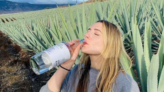 Oaxaca-egnen: Agave-markeder & Mezcal