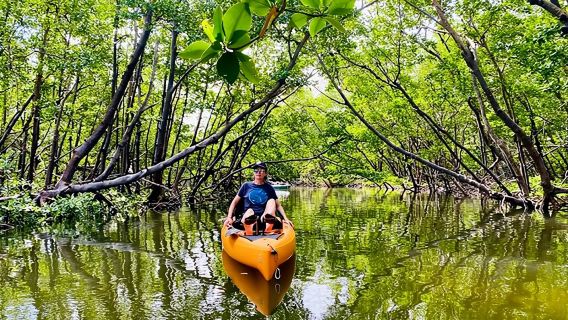 Activité d'exploration en Kayak à pédales dans le Parc géologique de mangroves de Langkawi, Kisap - 4 heures