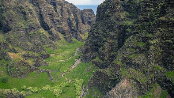 Experiencia en helicóptero de safari de vida silvestre y cascadas de lujo en Kauai (Parque Estatal de la Costa de Nāpali + Cañón de Waimea + Monte Waiʻaleʻale)