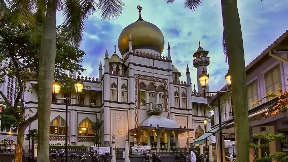 Lawatan sehari di Haji Lane + Kampong Glam + Masjid Sultan + Muzium Peranakan + Duck Tour Singapura