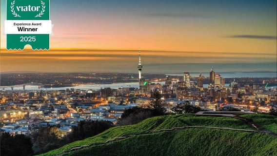 Tur Setengah Hari Sorotan Kota Auckland Pemenang Penghargaan 2025