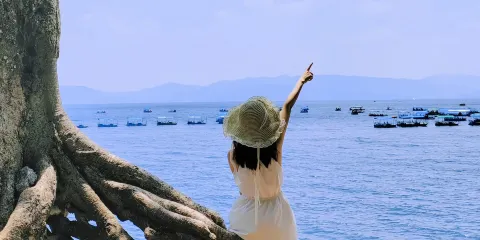 澄江化石博物館+撫仙湖+明星魚洞+祿充風景區筆架山包車一日遊