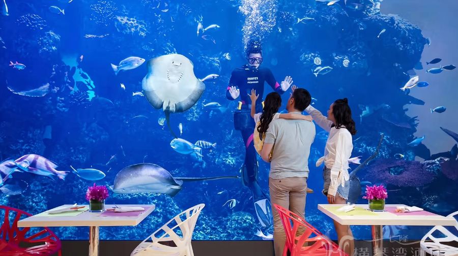 珠海長隆橫琴灣酒店海豚自助餐廳自助晚餐雙人票/親子1大1小票