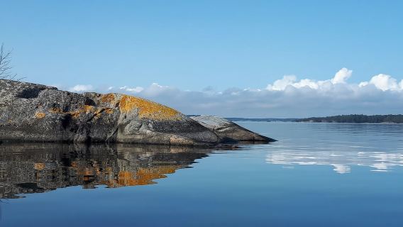 Full-Day Stockholm Archipelago Sailing Tour