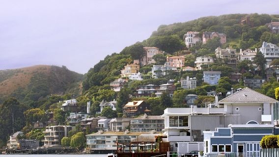 Muir Woods and Sausalito with Bay Cruise