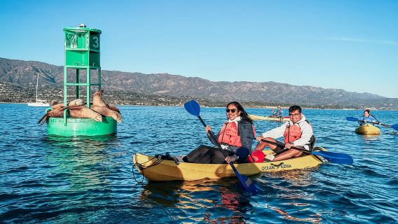 Santa Bárbara: Tour de vida salvaje en kayak (2 horas)