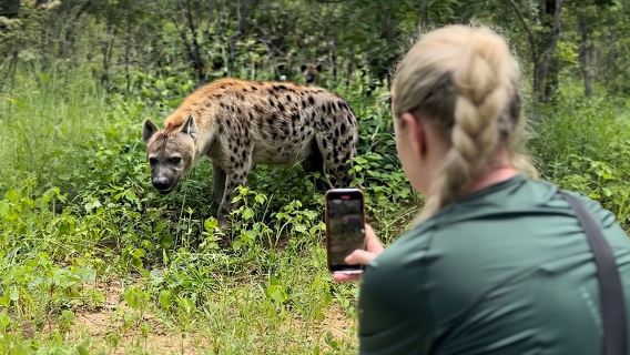 Lion & Wildlife Sanctuary Excursion Victoria Falls