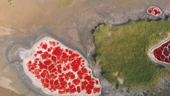 Kumpulan hiburan tulen|Yinchuan Ningxia + Merentasi lima tasik Padang Pasir Tengger lawatan sehari (Tasik Ulan jantung bumi)