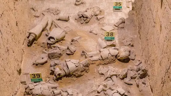 Xi'an Muslim Tour: Terracotta Warriors, Mosque & Muslim Street Adventure!