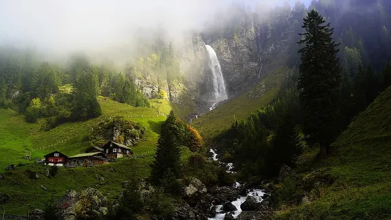 Die Naturwunder der Schweiz: Privatgruppe ab Basel (1 Tag)