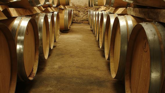 Excursión privada de un día completo a las bodegas de Provenza