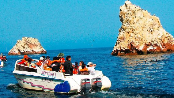 From Lima: Ballestas, Nazca Lines & Huacachina Oasis