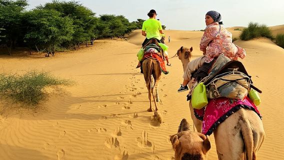 Nomadic Non-Touristic Overnight Tour & camel Safari