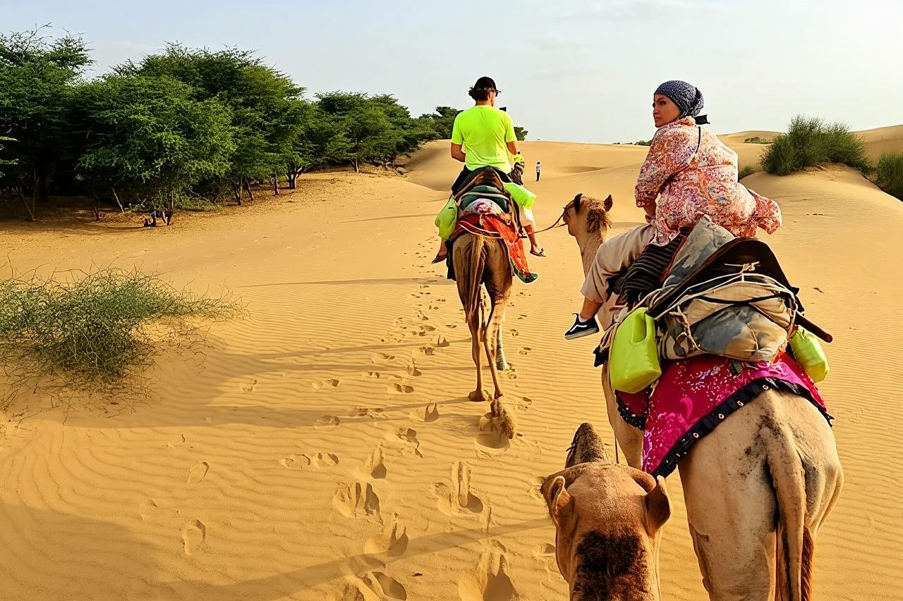 Nomadic Non-Touristic Overnight Tour & camel Safari 