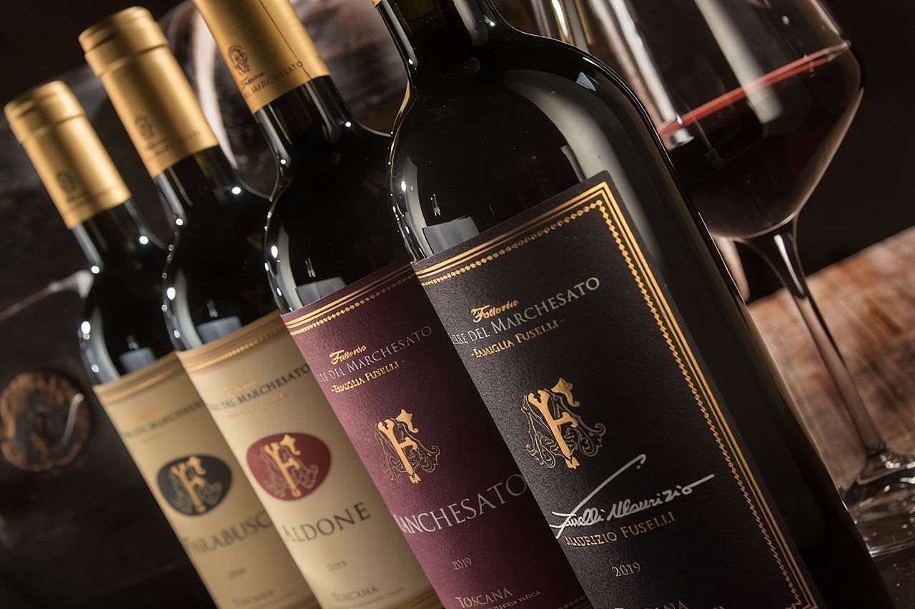 Bolgheri: Degustazione di vini premium con visita alla cantina