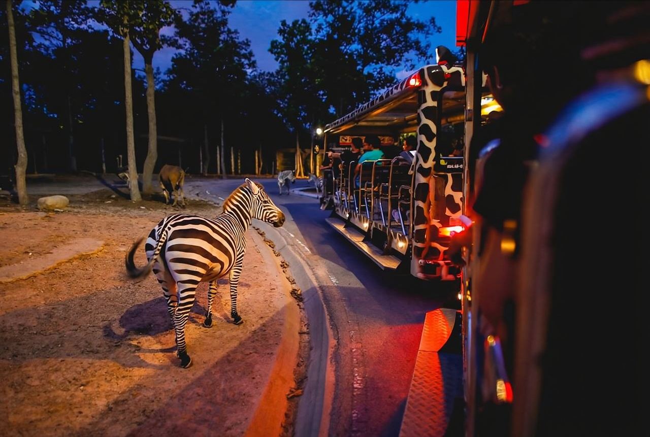 Chiang Mai Night Safari Day Tour [Includes Hotel Transfer + Admission Ticket + Attraction Sightseeing Bus]