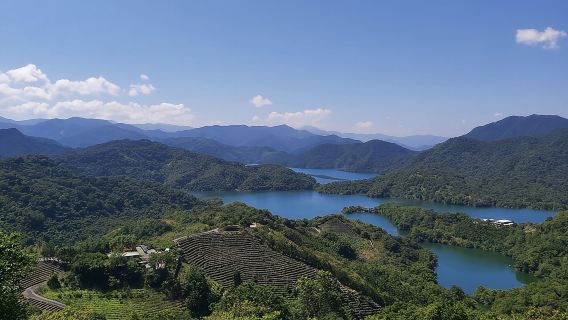 Hồ Ngàn Đảo và đồn điền trà Bình Lâm từ Đài Bắc