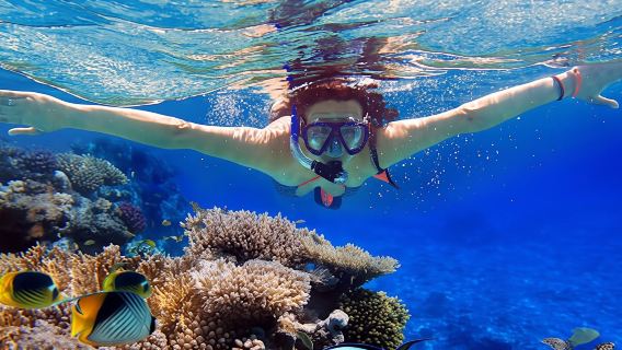 Eilat coral reef snorkeling with instructor