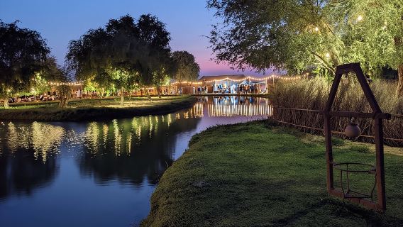 Al Marmoom Oasis Luxury Tent with Bedouin Dinner
