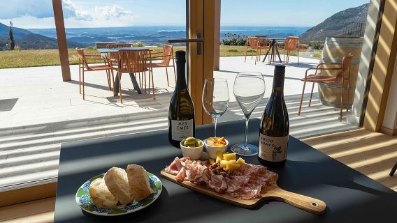 Tasting of Organic Mountain Wines with Vineyard and Cellar Tour