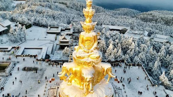 峨眉山一日遊【登金頂+野生猴區全景深度漫遊+三環內專車接早】