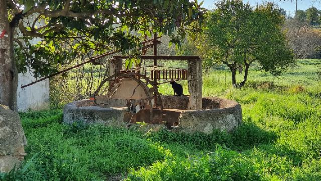 Tur Setengah Hari dengan Jeep Safari di Pegunungan Algarve