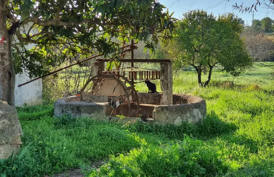 阿爾加維山區吉普車探險半日遊